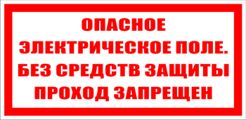 S13 опасное электрическое поле. без средств защиты проход запрещен (пластик, 200х100 мм) - Знаки безопасности - Знаки по электробезопасности - Магазин охраны труда ИЗО Стиль